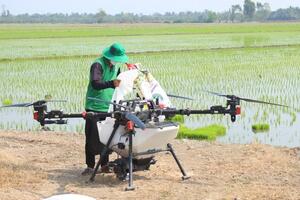 Lời giải cho nông nghiệp manh mún: HTX và drone hợp sức vượt thách thức