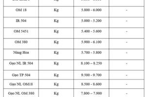 Giá lúa gạo hôm nay ngày 7/10: Thị trường trầm lắng