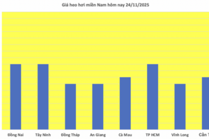 Giá heo hơi hôm nay 24/11/2025: Đi ngang cả 3 miền