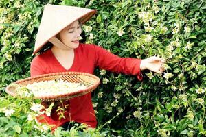 Khoa học kỹ thuật kết hợp tri thức bản địa trong xây dựng nông thôn mới ở Bắc Ninh