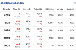 Giá cà phê hôm nay 8/12/2025: Đi ngang