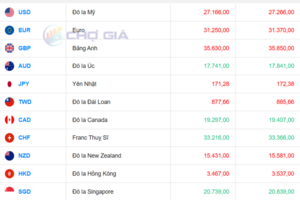 Tỷ giá USD ngày 11/12/2025: USD tự do giảm mạnh