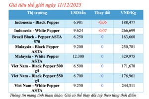Giá tiêu hôm nay 11/12/2025: Tăng nhẹ
