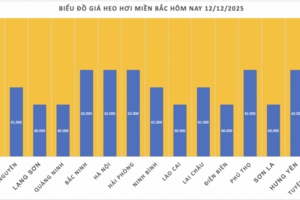 Giá heo hơi hôm nay 12/12/2025: Tăng đồng loạt, lập đỉnh mới