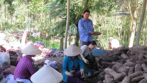 Đăng ký chỉ dẫn địa lý cho khoai mỡ Bến Kè