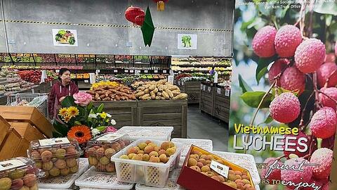 Nông sản Việt Nam xuất khẩu sang Australia tăng trưởng mạnh mẽ