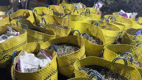 Tôm thẻ miền Tây tăng giá trở lại sau 7 tuần giãn cách