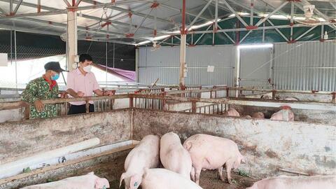 Tái cơ cấu nông nghiệp, thúc đẩy kinh tế địa phương