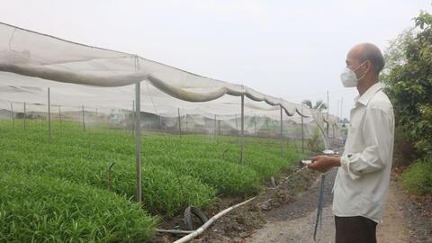 Duy trì, nhân rộng các hợp tác xã điểm, điển hình trong sản xuất ứng dụng công nghệ cao