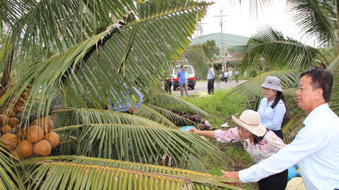 Chuyển đổi cây trồng mang lại hiệu quả kinh tế cao