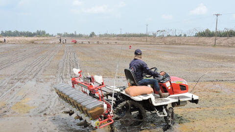 Khởi động đề án 1 triệu hécta lúa chất lượng cao, phát thải thấp