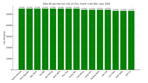 Giá heo hơi hôm nay 28/8/2025: Miền Trung, miền Nam giảm mạnh