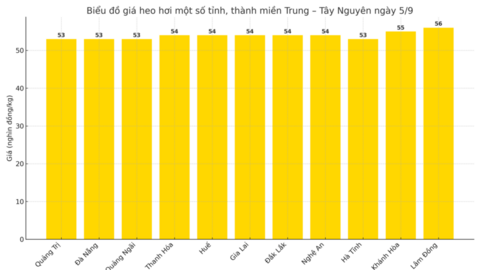 Giá heo hơi hôm nay 5/9/2025: Vọt tăng trên cả 3 miền