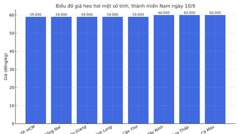 Giá heo hơi hôm nay 10/9/2025: Miền Bắc tăng đồng loạt