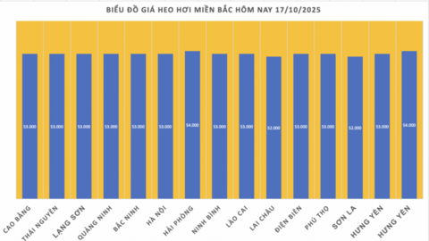 Giá heo hơi hôm nay 17/10/2025: Trầm lắng trên cả ba miền