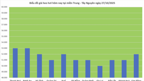 Giá heo hơi hôm nay 27/10/2025: Miền Bắc duy trì đỉnh giá