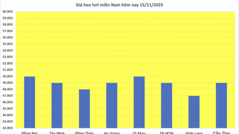 Giá heo hơi hôm nay 15/11/2025: Đi ngang
