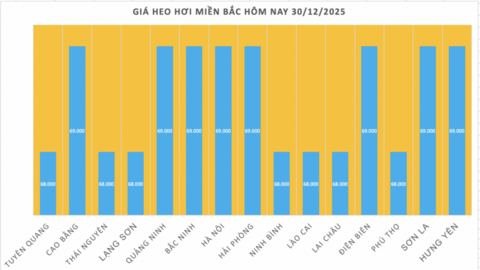 Giá heo hơi hôm nay 30/12/2025: Biến động trái chiều