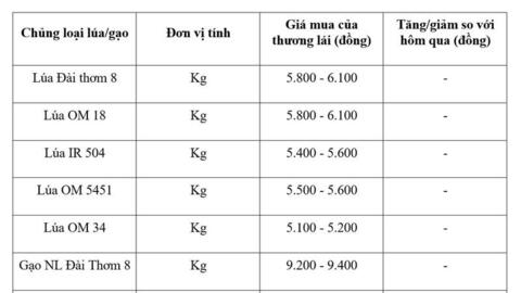 Giá lúa gạo hôm nay ngày 10/4: Gạo xuất khẩu tăng mạnh