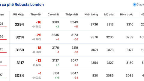 Giá cà phê hôm nay 11/4/2026: Giảm 300 - 400 đồng/kg