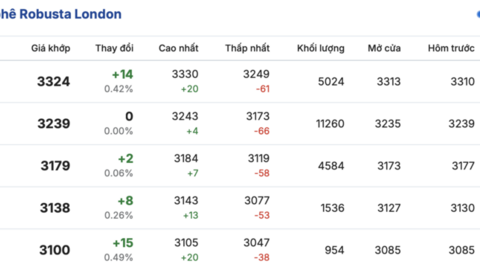 Giá cà phê hôm nay 12/4/2026: Tăng nhẹ 200 - 300 đồng/kg