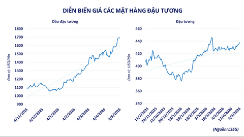 Giá đậu tương tăng hơn 2% lên 442 USD/tấn