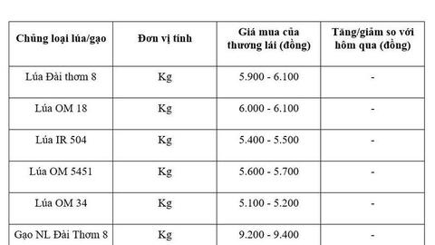 Giá lúa gạo hôm nay ngày 27/4: Gạo thơm dẻo neo cao