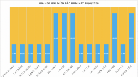 Giá heo hơi hôm nay 18/6/2026: Giảm cục bộ tại miền Trung và miền Nam