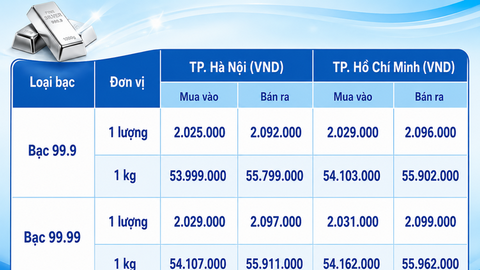 Giá bạc hôm nay 26/8/2026: Quay đầu suy giảm
