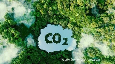 Tín chỉ carbon: Đừng chỉ nhìn vào giá bán