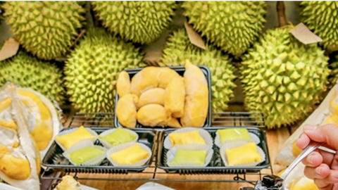 Cần Thơ: Sắp diễn ra tuần lễ buffet sầu riêng năm 2026