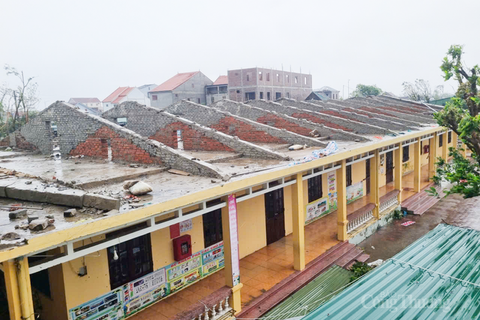 Hộ dân ở Hà Tĩnh mất trắng hàng chục tấn cá lồng bè sau bão số 10