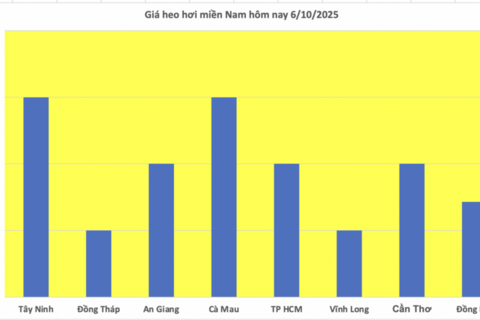 Giá heo hơi hôm nay 6/10/2025: Thị trường giữ đà giảm