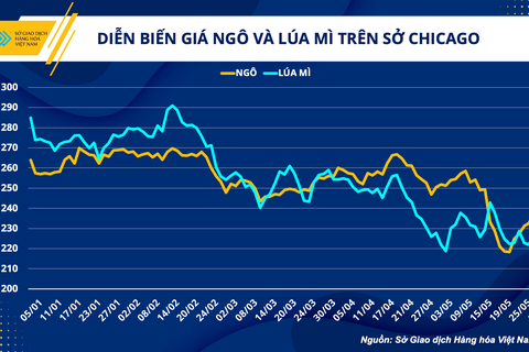 Giá thức ăn chiếm tới 70% tổng chi phí chăn nuôi