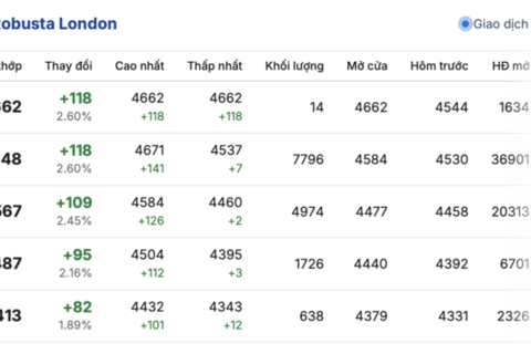 Giá cà phê hôm nay 10/11/2025: Trong nước neo cao