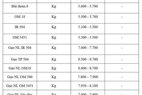 Giá lúa gạo hôm nay ngày 11/11: Gạo bình ổn, lúa tươi vững giá
