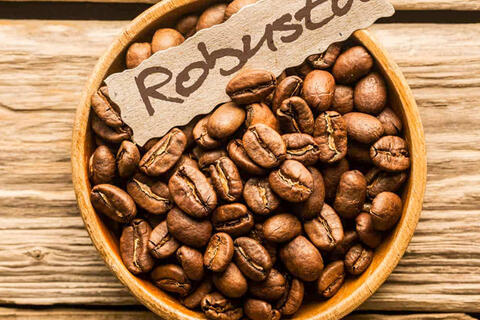 Giá cà phê giảm đến 2.300 đồng/kg, dự báo thị trường rung lắc mạnh