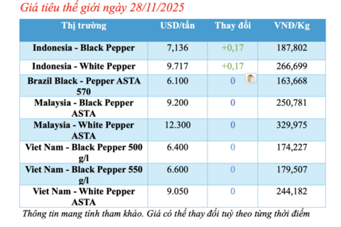 Giá tiêu hôm nay 28/11/2025: Trong nước đi ngang