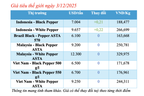 Giá tiêu hôm nay 3/12/2025: Giảm từ 500 - 1.000 đồng/kg