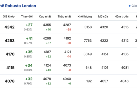 Giá cà phê hôm nay 5/12/2025: Tiếp tục rớt giá sâu