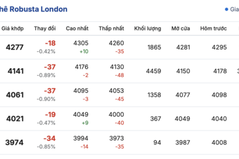 Giá cà phê hôm nay 9/12/2025: Tăng nhẹ 200 đồng/kg