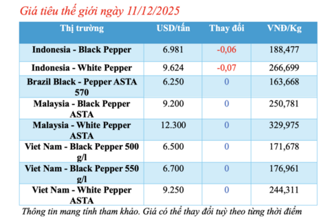 Giá tiêu hôm nay 11/12/2025: Tăng nhẹ