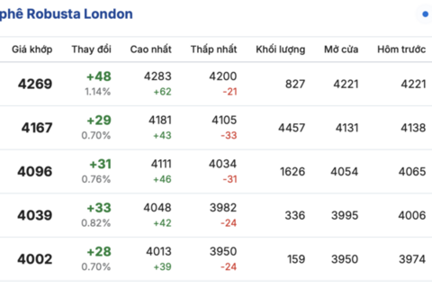 Giá cà phê hôm nay 12/12/2025: Tăng nhẹ