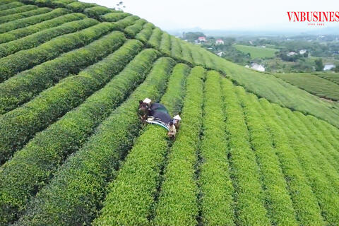 Nông thôn đổi mới, đời sống người dân xứ Tuyên liên tục được nâng lên