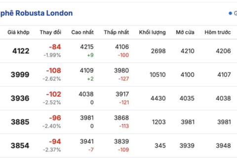 Giá cà phê hôm nay 15/12/2025: Đi ngang, duy trì mức thấp