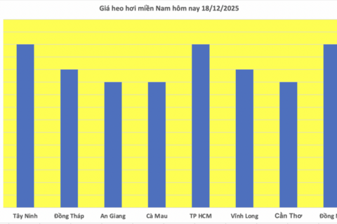 Giá heo hơi hôm nay 18/12/2025: Lập đỉnh mới - 67.000 đồng/kg