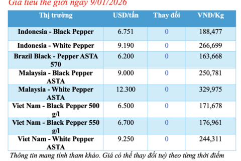 Giá tiêu hôm nay 9/1/2026: Cao nhất 152.500 đồng/kg