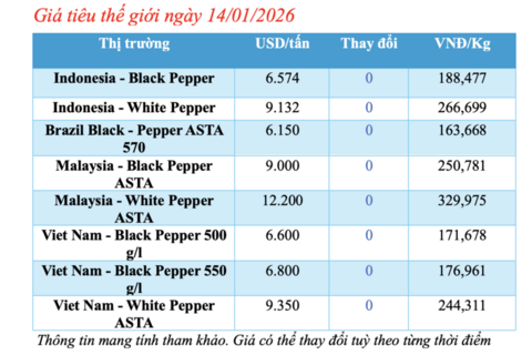 Giá tiêu hôm nay 14/1/2026: Cắt chuỗi neo cao, quay đầu giảm