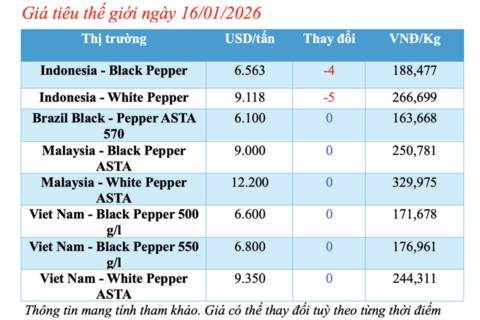 Giá tiêu hôm nay 16/1/2026: Quay đầu giảm