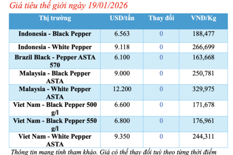 Giá tiêu hôm nay 19/1/2026: Tiếp tục đi ngang